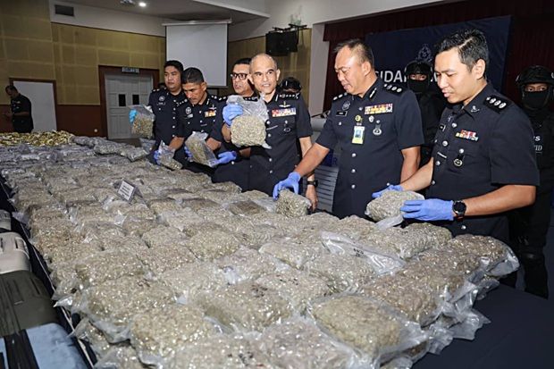 SHAH ALAM, May 8 -- Police busted two international drug trafficking syndicates after seizing drugs worth RM12.6 million at the Kuala Lumpur International Airport (KLIA) and a house in Kota Warisan, Sepang, at the end of last month. Selangor police chief Datuk Shazeli Kahar said seven foreigners comprising six men and one woman aged between 18 and 27 were arrested in the operation, carried out by police and Malaysia Airports Holdings Berhad auxiliary police. Shazeli said police got their break on April 28 when they arrested four suspects, including a woman, after detecting four suspicious bags passing through a scanner machine at the KLIA terminal. “Inspection found 64 plastic packets containing compressed slabs believed to be ganja flowers weighing 67.2 kilogrammes (kg), with the seizure estimated to be worth RM5.4 million. Police also seized RM580 in cash, 20 euros (RM91.98) in foreign currency and an Audemars Piguet watch worth about RM80,000,” he told a press conference at the Selangor police contingent headquarters today. For the second syndicate, police arrested a 20-year-old man after detecting two suspicious bags passing through a baggage scanner at KLIA Terminal One. He said further checks uncovered 59 plastic packets containing compressed ganja flowers weighing 29.5 kg, with the seizure estimated to be worth RM2.4 million. “Following intelligence gathered from the second arrest, police then raided a residential unit in Kota Warisan, where they arrested two more men aged 19 and 25 and found four bags containing 109 plastic packets filled with compressed ganja flowers weighing 60 kg. The seizure was estimated to be worth RM4.8 million,” he said. Shazeli said the three raids resulted in the seizure of 156.7 kg of ganja flowers worth RM12.6 million. The cases are being investigated under Section 39B of the Dangerous Drugs Act 1952 and all suspects have been remanded for between seven and 14 days. He said preliminary investigations found that none of the suspects had criminal records in Malaysia and they were believed to have used social visit passes to carry out drug trafficking activities in the country. He said some suspects are also believed to have acted as drug mules based on the payments received, amounting to between 3,000 euros and 5,000 euros (RM13,796 to RM22,994) and 5,000 British pounds (RM26,546) for a single trip. On another matter, Shazeli said the investigation paper on the case involving defiance of Sultan of Selangor Sultan Sharafuddin Idris Shah’s decree relating to the conduct of Friday prayers and the azan at a surau in Ampang has been completed and submitted to the Selangor Prosecution Office for further instructions. Previously, the media reported that police had placed a local man suspected of being involved in the azan petition issue in Ampang on a special circular list to prevent him from fleeing abroad.