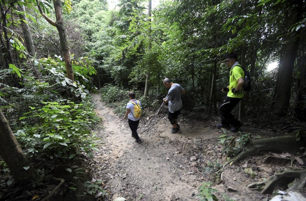 KUALA LUMPUR, May 29 -- The tendency among some individuals to underestimate the mountain, fuelled by the pursuit of instant popularity on social media, has been identified as one of the main factors contributing to the rising number of missing hikers and emergency incidents in the forest. Mountain Medicine Society Malaysia president Muhamad Aliff Abdullah said that although more people are taking up outdoor recreational activities, safety awareness among enthusiasts has not grown in tandem with the rising popularity of the activity. He said that the abundance of aesthetic content on digital platforms has given rise to a trend of “express hikers” who are obsessed with chasing peaks or ticking off mountains, for fear of missing out (FOMO). “Many people see hiking as a low-risk activity, while the mountain environment can change very quickly and unpredictably. Problems arise when social media doesn’t reflect the reality of the challenge, but only shows the beautiful end result. “As a result, many go for challenging category trails without basic experience, proper physical training, and without honestly assessing their own abilities. This can lead to a reduced ability to make rational decisions due to extreme fatigue, hypothermia, or acute mountain sickness (AMS),” he told Bernama recently. Muhamad Aliff, an expert in wilderness medicine and high-altitude hiking and climbing, explained that emergencies in the forest are usually the result of a chain of weaknesses, including equipment preparation, fitness levels, terrain, and mental assessment of hikers. He said that among the common critical mistakes in the field are failing to maintain team discipline, refusing to turn back during bad weather, as well as relying too heavily on gadgets without basic navigation and survival skills. Commenting on beliefs surrounding missing hiker incidents and mystical elements or forest taboos, Muhamad Aliff, who is also the 7 Continents Exploration Club of Malaysia (KE7B) president, said that while elders’ customs and advice should be respected as part of culture, modern science must remain the priority. “Many traditional taboos, such as not speaking loudly or not leaving the group, actually carry important safety elements. However, scientifically, what is often seen as ‘mystical disturbances’ is usually caused by dehydration, panic, lack of sleep, or or reduced oxygen to the brain, or high-altitude cerebral oedema (HACE),” he said. In this regard, he suggested that hiking safety management in the country be reformed through a more modern and structured risk management system. Muhamad Aliff also proposed a standard mountain risk-rating classification system, as well as mandatory digital registration systems, including QR codes, live tracking, or emergency beacons for high-risk routes. He also called for stricter action against those engaging in hiking activities without a permit, as well as efforts to strengthen rescue expertise through a national-level outdoor recreation safety education module. “Mountains cannot be challenged with ego. The best reform lies not only in law enforcement, but in building a more mature safety culture within the outdoor recreation community,” he said. Meanwhile, Norimah Abd Karim of Persatuan Malim Gunung Perhutanan (MGP) Selangor said SOP violations, such as ignoring team discipline and refusing to use the ‘buddy’ system in the rush to reach the summit first, remained the biggest challenge faced by mountain guides. With over 10 years of experience, including completing the Trans Titiwangsa expedition, she warned that it is risky for hikers to carry minimal gear just to appear like professional trail runners on social media. “There are hikers who focus more on getting interesting content that they are willing to take risks and neglect their own safety. In fact, there is a trend where they go on ‘Trans’ trips (covering several peaks in one expedition) without enough preparation. “Going with friends on what is expected to be a leisurely hiking experience often turns out differently when faced with the real situation in the field,” said the private sector worker, has been doing mountain guiding since 2022. Norimah said that to minimise risks in the future, she supports the Forestry Department’s move to make MGP services mandatory for hiking activities above 500 metres above sea level, as well as the use of digital tracking applications and efforts to continuously strengthen safety education campaigns. Forest and hiking safety issues have once again come under the spotlight following a series of tragedies, including the case of Jaslinda Saludin, 49, who went missing at Gunung Batu Putih, Tapah, last Saturday, with search and rescue (SAR) efforts still ongoing. Nur Izzati Humaira Azizul, 19, went missing on May 23 while descending Bukit Changkat Asa in Hulu Bernam, Selangor, before her body was recovered four days later by search teams, while in October last year, 34-year-old Mustaqqeem Mansoor died from hypothermia during an expedition at Gunung Liang Barat in Perak. These fatal incidents add to the case of Mohammad Ashraf Hassan, 29, who went missing during the Gopeng Ultra Trail event at Bukit Batu Putih, Gopeng, in March 2019, which remains an unresolved mystery to this day. --BERNAMA