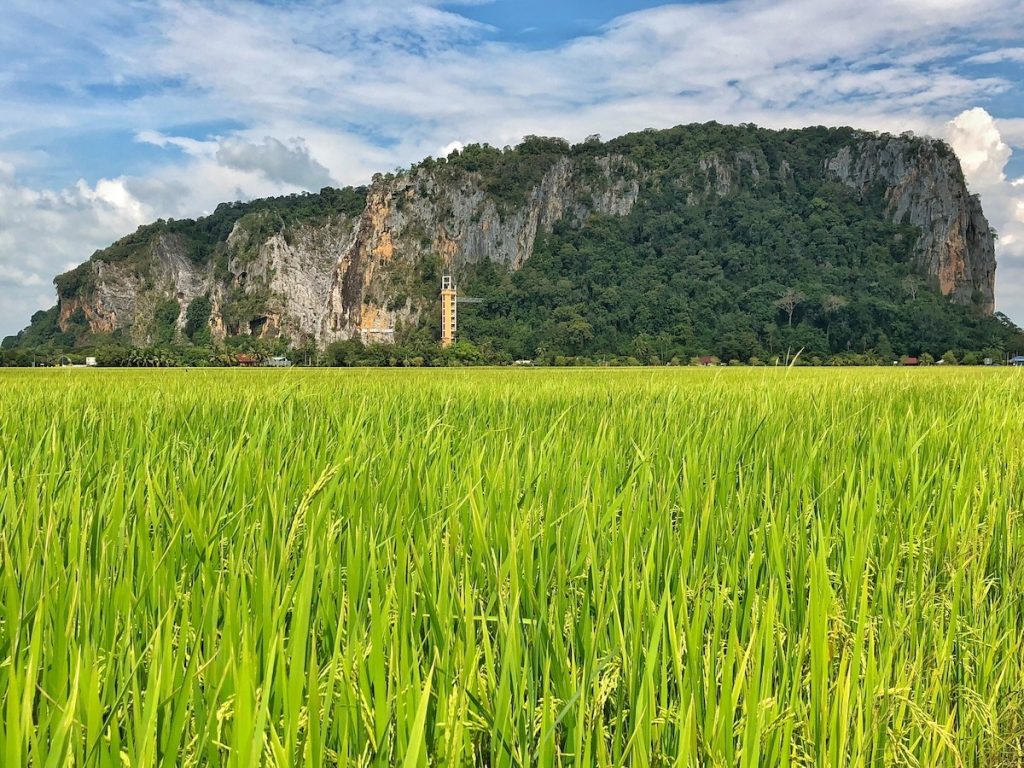 ALOR SETAR: The good and sufficient rainfall currently provides an opportunity for farmers to accelerate paddy planting activities for the 1/2026 season, especially through the wet direct sowing method. In a statement today, the Muda Agricultural Development Authority (MADA) informed that the agency is committed to ensuring the continuity of the country's rice production through continuous monitoring of the status of water supply and the progress of planting activities in the MADA granary area, so that it can be implemented according to schedule. "As of June 10, pre-saturation activities are almost fully completed with an achievement of 99.5 percent, while land preparation work has reached 91.4 percent. "However, planting activity is still at 28.8 percent and MADA hopes that the remaining areas that have not yet been planted can be expedited by ," the statement said. According to MADA, the latest hydrological report shows that rice fields throughout the Muda Area have received good and sufficient rainfall to begin planting work. MADA informed that the latest data recorded the average daily rainfall for the entire Muda Region was 8.8 millimetres (mm), with Region II, Jitra recording the highest amount of 12.2 mm, followed by Region III, Pendang at 9.8 mm, Region IV, Kota Sarang Semut (6.9 mm) and Region I, Perlis (4.7 mm). Meanwhile, MADA is also releasing water from the dam in a controlled manner at a rate of 800 cubic feet per second (cusec/Q) to meet domestic and industrial needs. The statement informed that the status of water reservoirs in MADA's three main dams is also still at a stable level with a total of 506,168 acre feet or 41.39 percent. Pedu Dam recorded a reservoir of 378,470 acre feet or 43.25 percent, followed by Ahning Dam (112,948 acre feet or 50.65 percent), while Muda Dam (14,750 acre feet or 11.80 percent). MADA therefore calls on all farmers to take advantage of the current weather conditions to accelerate paddy planting activities using appropriate methods and to manage the use of water resources prudently and optimally to avoid waste. -- BERNAMA