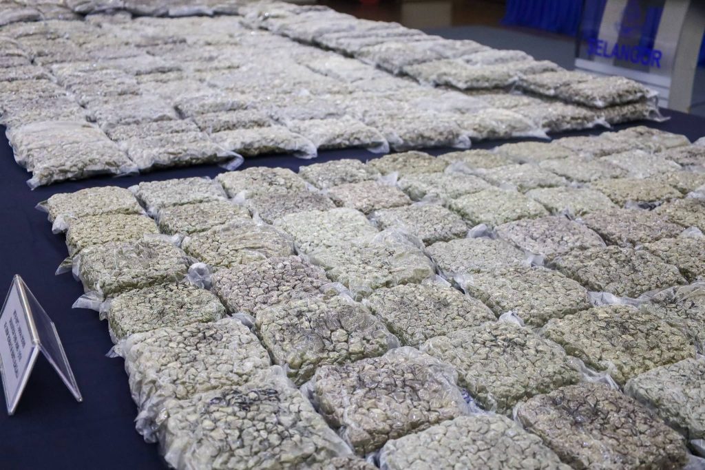 SHAH ALAM, July 9 – Selangor police have dismantled four drug trafficking syndicates following the seizure of 116.2 kilograms of cannabis buds worth an estimated RM13.34 million in four separate raids at Terminal 1 of Kuala Lumpur International Airport (KLIA) and Kota Warisan, Sepang.

Selangor Police Chief CP Datuk Shazeli Kahar said the operations were carried out by the Narcotics Criminal Investigation Division of the KLIA District Police Headquarters with the assistance of Malaysia Airports Holdings Berhad (MAHB) auxiliary police at KLIA between the end of June and early July.

A total of five suspects, aged between 25 and 40, were arrested. They comprised two foreign men, two local women and one local man.

Speaking at a press conference at the Selangor Police Contingent Headquarters on Thursday, Shazeli said the first raid was conducted on June 29 after police detected two suspicious suitcases through an airport scanning machine.

"The owner of the luggage, a foreign national from a Southeast Asian country, was arrested at the flight departure waiting area. Initial inspection uncovered 60 plastic packages containing compressed cannabis buds weighing approximately 33.6 kilograms, with an estimated street value of RM2.7 million," he said.

In the second raid at the same location, police detected another suspicious suitcase and discovered 39 plastic packages containing compressed cannabis buds weighing about 21.1 kilograms, valued at RM1.7 million.

Police subsequently arrested a local woman who owned the luggage. Preliminary urine screening found that she had tested positive for amphetamine and methamphetamine.

Shazeli said investigations into the remaining two raids are ongoing as police continue efforts to identify other individuals linked to the syndicates and to curb drug trafficking activities through the country's main international gateway.

-- MINUTESMY