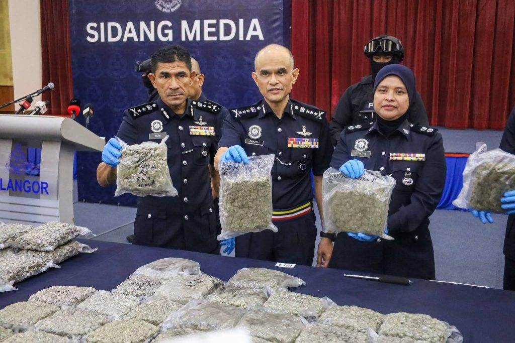 SHAH ALAM, July 9 – Selangor police have dismantled four drug trafficking syndicates following the seizure of 116.2 kilograms of cannabis buds worth an estimated RM13.34 million in four separate raids at Terminal 1 of Kuala Lumpur International Airport (KLIA) and Kota Warisan, Sepang. Selangor Police Chief CP Datuk Shazeli Kahar said the operations were carried out by the Narcotics Criminal Investigation Division of the KLIA District Police Headquarters with the assistance of Malaysia Airports Holdings Berhad (MAHB) auxiliary police at KLIA between the end of June and early July. A total of five suspects, aged between 25 and 40, were arrested. They comprised two foreign men, two local women and one local man. Speaking at a press conference at the Selangor Police Contingent Headquarters on Thursday, Shazeli said the first raid was conducted on June 29 after police detected two suspicious suitcases through an airport scanning machine. "The owner of the luggage, a foreign national from a Southeast Asian country, was arrested at the flight departure waiting area. Initial inspection uncovered 60 plastic packages containing compressed cannabis buds weighing approximately 33.6 kilograms, with an estimated street value of RM2.7 million," he said. In the second raid at the same location, police detected another suspicious suitcase and discovered 39 plastic packages containing compressed cannabis buds weighing about 21.1 kilograms, valued at RM1.7 million. Police subsequently arrested a local woman who owned the luggage. Preliminary urine screening found that she had tested positive for amphetamine and methamphetamine. Shazeli said investigations into the remaining two raids are ongoing as police continue efforts to identify other individuals linked to the syndicates and to curb drug trafficking activities through the country's main international gateway. -- MINUTESMY
