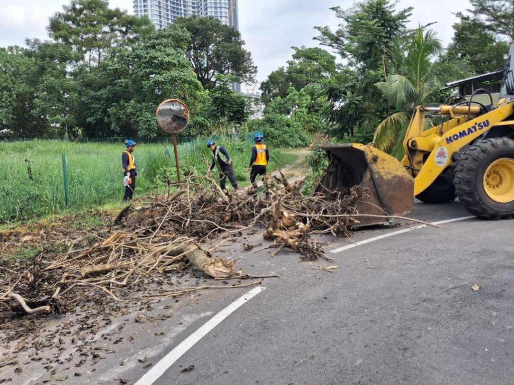 DBKL Strengthens Tree Mitigation Efforts to Ensure Public Safety in Kuala Lumpur