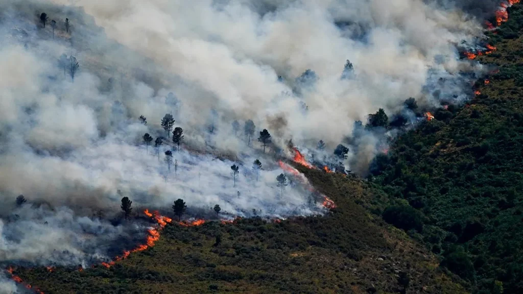 Spain declares state of emergency following forest fires in Madrid